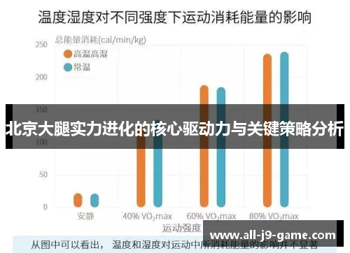 北京大腿实力进化的核心驱动力与关键策略分析 北京大腿实力进化的核心驱动力与关键策略分析